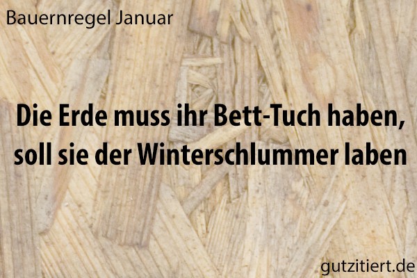Bauernregel Die Erde muß ihr Bett-Tuch haben, soll sie der Winterschlummer laben.
