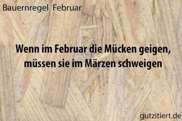 Bauernregel Wenn im Februar die Mücken geigen, müssen sie im Märzen schweigen.