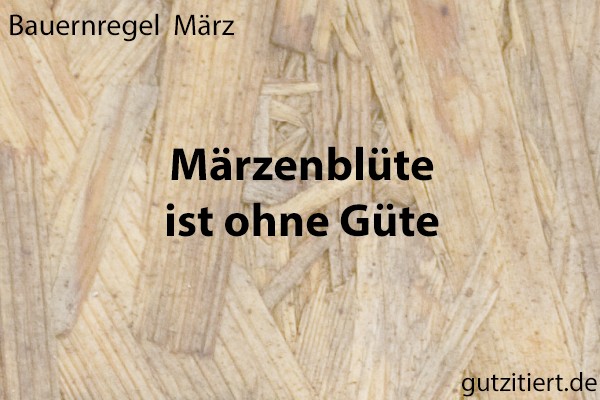 Bauernregel Märzenblüte ist ohne Güte.