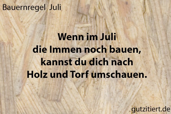 Bauernregel Wenn im Juli die Immen noch bauen, kannst du dich nach Holz und Torf umschauen.