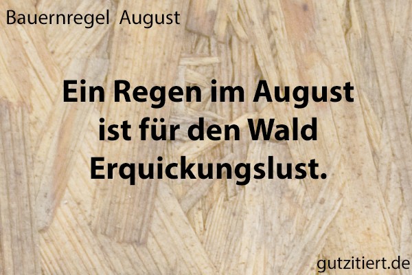 Bauernregel Ein Regen im August ist für den Wald Erquickungslust.