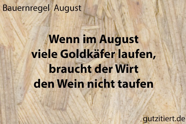 Bauernregel Wenn im August viele Goldkäfer laufen, braucht der Wirt den Wein nicht taufen.