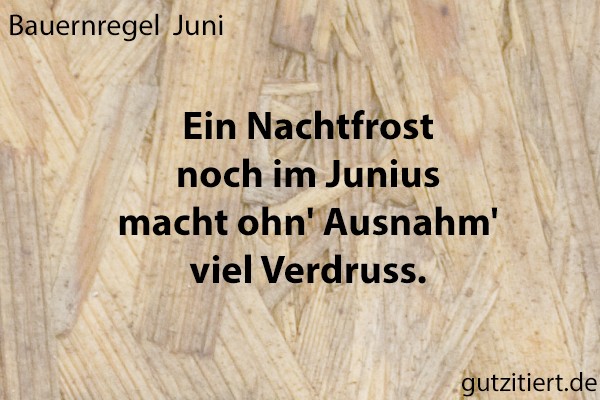 Bauernregel Ein Nachtfrost noch im Junius macht ohn' Ausnahm' viel Verdruss.