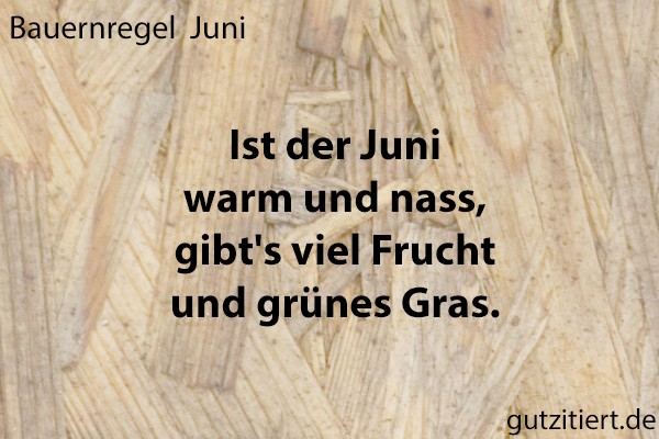 Bauernregel Ist der Juni warm und nass, gibt's viel Frucht und grünes Gras.