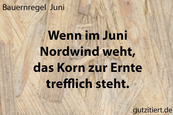 Bauernregel Wenn im Juni Nordwind weht, das Korn zur Ernte trefflich steht.