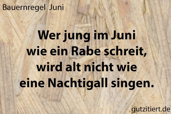 Bauernregel Wer jung im Juni wie ein Rabe schreit, wird alt nicht wie eine Nachtigall singen.