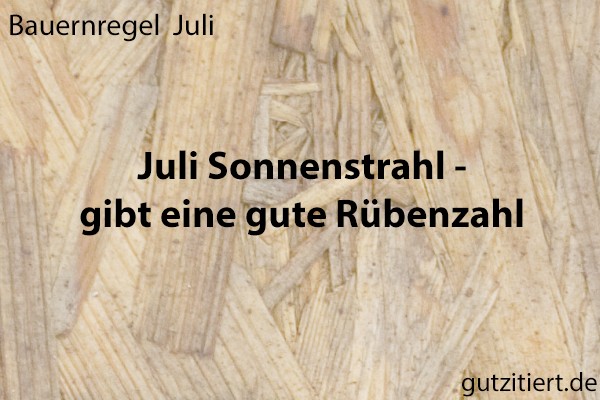 Bauernregel Juli Sonnenstrahl - gibt eine gute Rübenzahl.