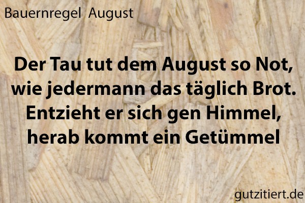 Bauernregel Der Tau tut dem August so Not, wie jedermann das täglich Brot. Entzieht er sich gen Himmel, herab kommt ein Getümmel.