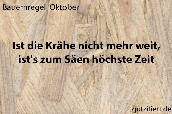 Bauernregel Ist die Krähe nicht mehr weit, ist's zum Säen höchste Zeit.