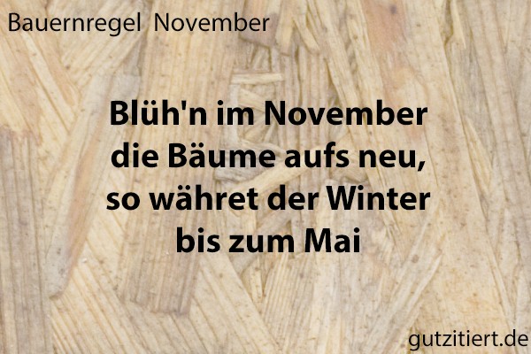 Bauernregel Blüh'n im November die Bäume aufs neu, so währet der Winter bis zum Mai.