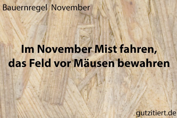 Bauernregel Im November Mist fahren, das Feld vor Mäusen bewahren.