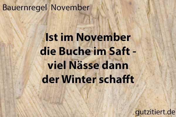 Bauernregel Ist im November die Buche im Saft - viel Nässe dann der Winter schafft.