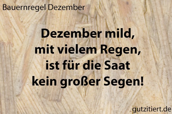 Bauernregel Dezember mild, mit vielem Regen, ist für die Saat kein großer Segen!