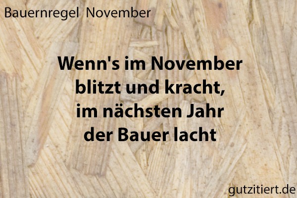 Bauernregel Wenn's im November blitzt und kracht, im nächsten Jahr der Bauer lacht.
