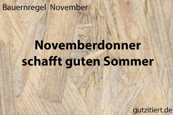 Bauernregel Novemberdonner schafft guten Sommer.