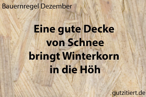 Bauernregel Eine gute Decke von Schnee bringt Winterkorn in die Höh.