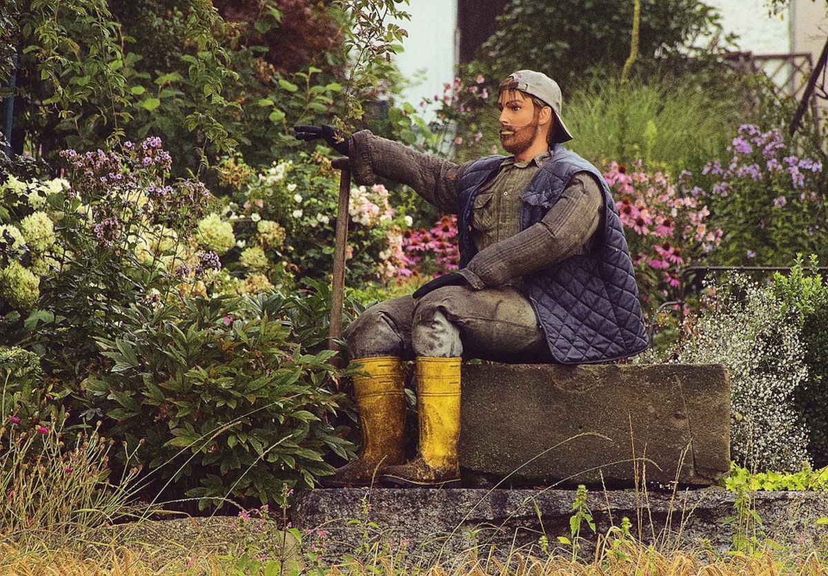 Gemeinschaft pflegen: Was Gärten und Websites über soziale Verbindungen lehren