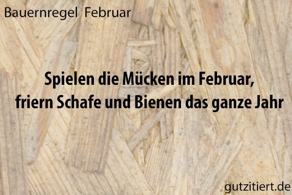 Bauernregel Spielen die Mücken im Februar, friern Schafe und Bienen das ganze Jahr.