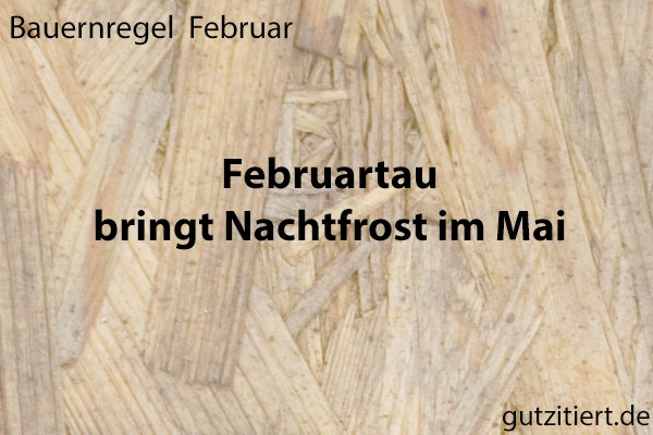 Bauernregel Februartau bringt Nachtfrost im Mai.