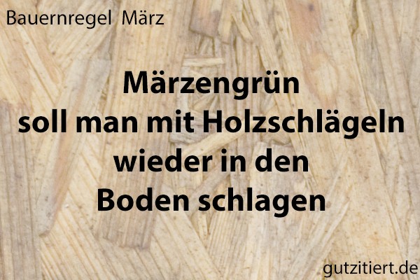 Bauernregel Märzengrün soll man mit Holzschlägeln wieder in den Boden schlagen.
