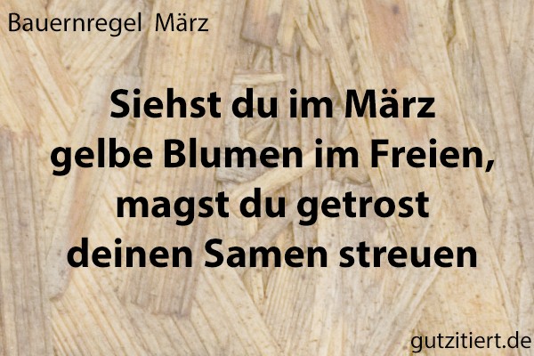 Bauernregel Siehst du im März gelbe Blumen im Freien, magst du getrost deinen Samen streuen.