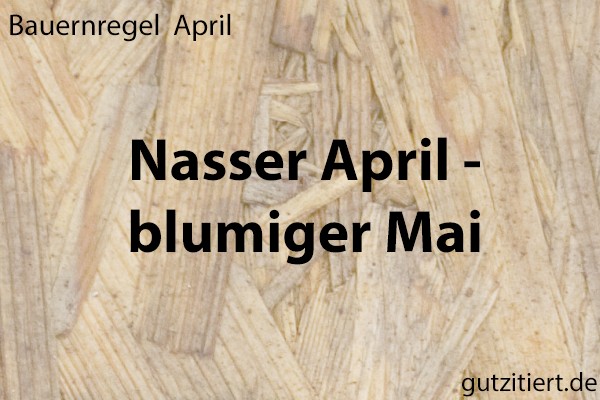 Bauernregel Nasser April - blumiger Mai.