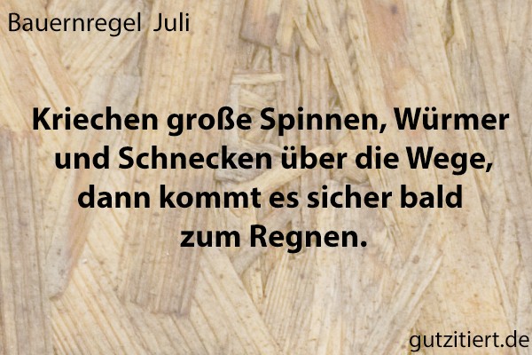 Bauernregel Kriechen große Spinnen, Würmer und Schnecken über die Wege, dann kommt es sicher bald zum Regnen.