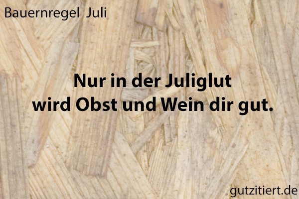 Bauernregel Nur in der Juliglut wird Obst und Wein dir gut.