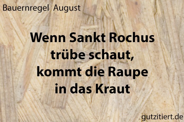 Bauernregel Wenn Sankt Rochus trübe schaut, kommt die Raupe in das Kraut.