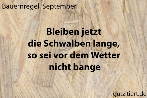 Bauernregel Bleiben jetzt die Schwalben lange, so sei vor dem Wetter nicht bange.