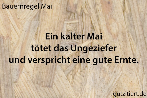 Bauernregel Ein kalter Mai tötet das Ungeziefer und verspricht eine gute Ernte.