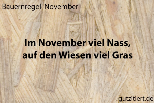 Bauernregel Im November viel Nass, auf den Wiesen viel Gras.