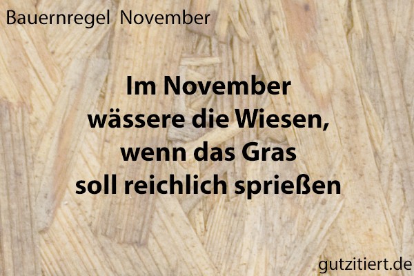 Bauernregel Im November wässere die Wiesen, wenn das Gras soll reichlich sprießen.