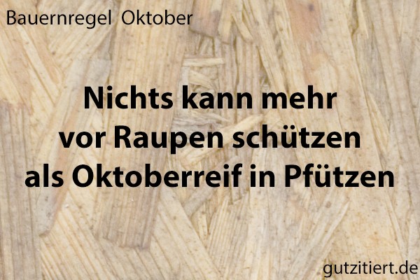 Bauernregel Nichts kann mehr vor Raupen schützen als Oktoberreif in Pfützen.